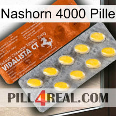 Rhino 4000 Pill 42